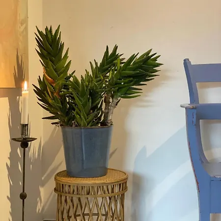 Hfa Morosini By The Sea Parcheggio Incluso Appartement Gênes